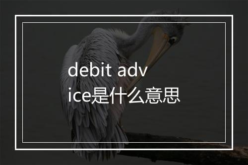 debit advice是什么意思