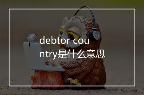 debtor country是什么意思