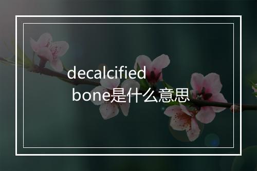 decalcified bone是什么意思