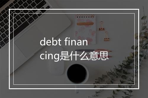 debt financing是什么意思