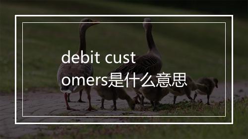 debit customers是什么意思