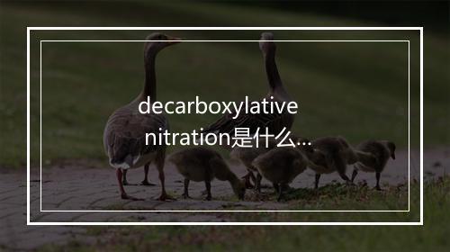 decarboxylative nitration是什么意思