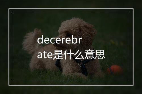 decerebrate是什么意思