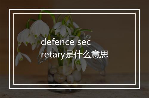 defence secretary是什么意思