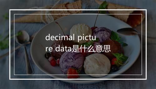 decimal picture data是什么意思