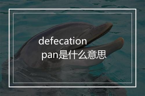 defecation pan是什么意思