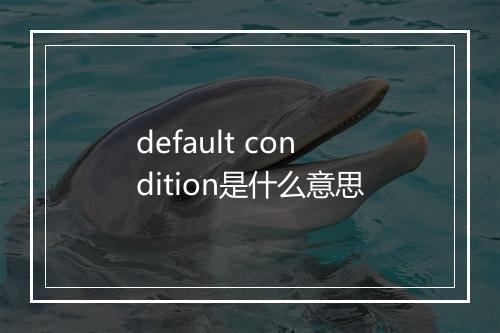 default condition是什么意思