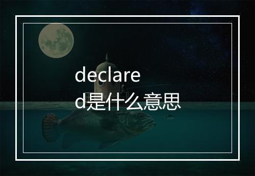 declared是什么意思