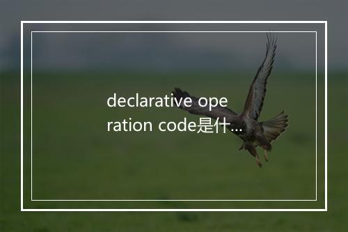 declarative operation code是什么意思