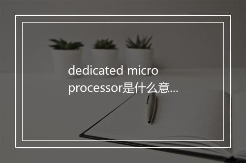 dedicated microprocessor是什么意思