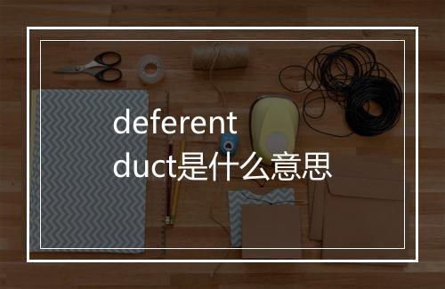 deferent duct是什么意思