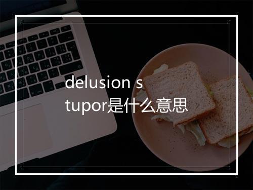 delusion stupor是什么意思