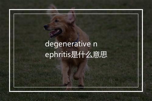 degenerative nephritis是什么意思