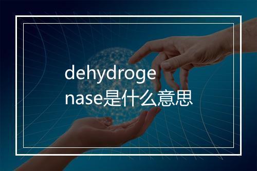 dehydrogenase是什么意思