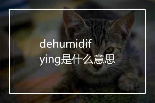 dehumidifying是什么意思