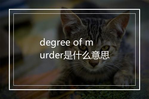 degree of murder是什么意思