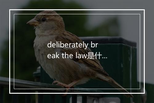 deliberately break the law是什么意思