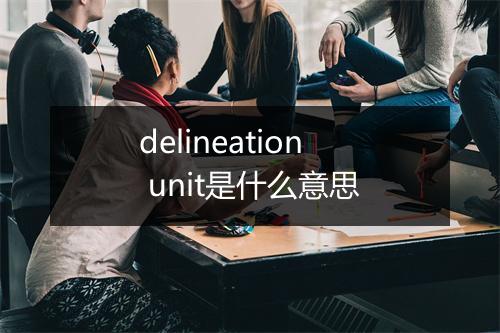 delineation unit是什么意思