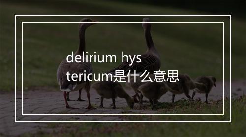 delirium hystericum是什么意思