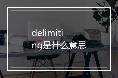 delimiting是什么意思