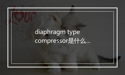 diaphragm type compressor是什么意思