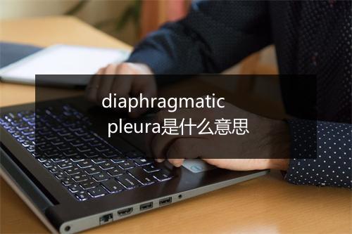 diaphragmatic pleura是什么意思