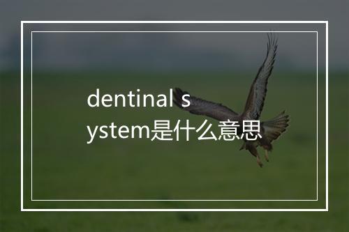 dentinal system是什么意思