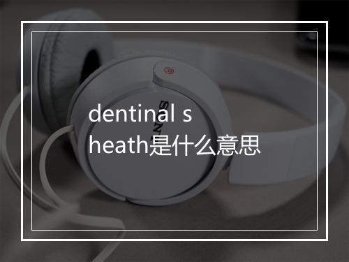 dentinal sheath是什么意思