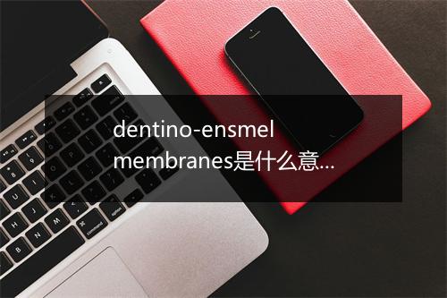 dentino-ensmel membranes是什么意思