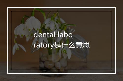 dental laboratory是什么意思