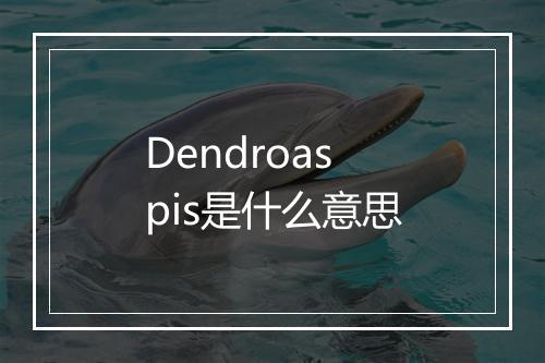 Dendroaspis是什么意思