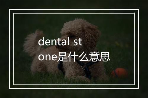 dental stone是什么意思