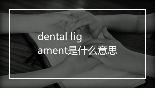 dental ligament是什么意思