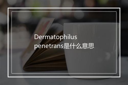 Dermatophilus penetrans是什么意思