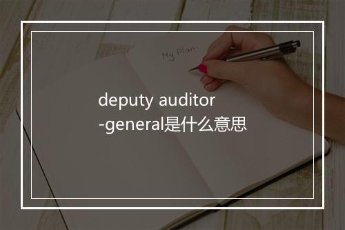 deputy auditor-general是什么意思