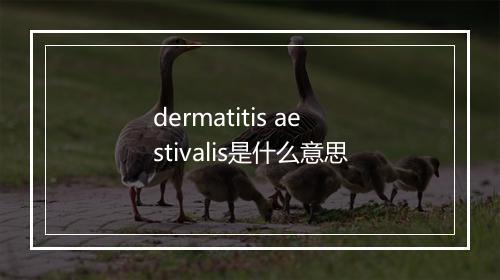 dermatitis aestivalis是什么意思