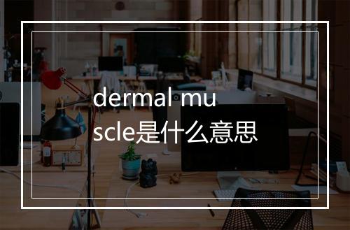 dermal muscle是什么意思