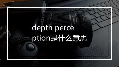 depth perception是什么意思