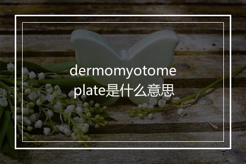 dermomyotome plate是什么意思