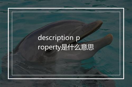 description property是什么意思