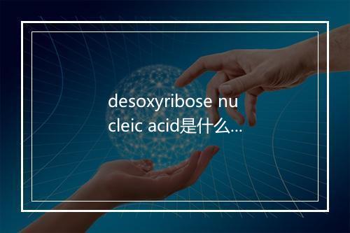 desoxyribose nucleic acid是什么意思