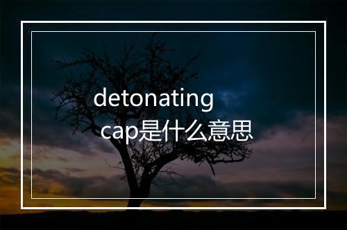 detonating cap是什么意思