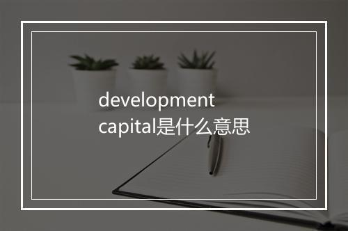 development capital是什么意思