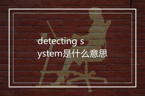 detecting system是什么意思