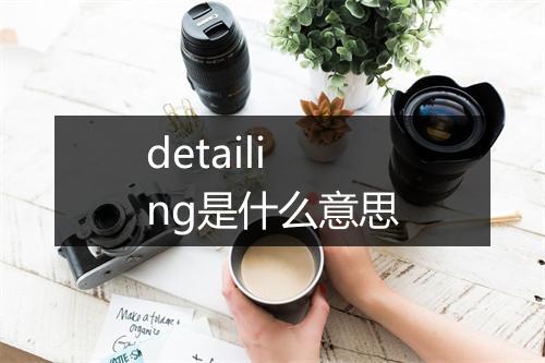 detailing是什么意思