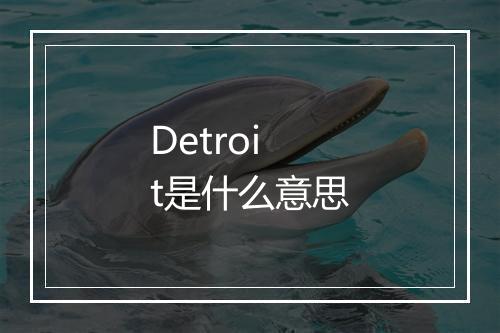 Detroit是什么意思