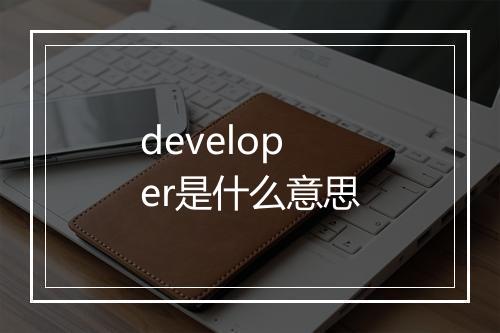 developer是什么意思