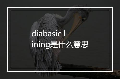 diabasic lining是什么意思