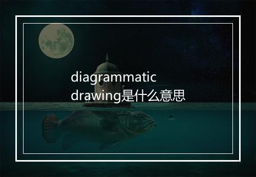 diagrammatic drawing是什么意思