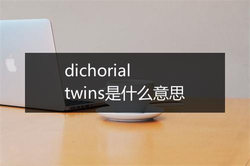 dichorial twins是什么意思